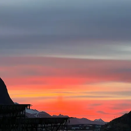 Northern Lights Lofoten, Reine Appartement